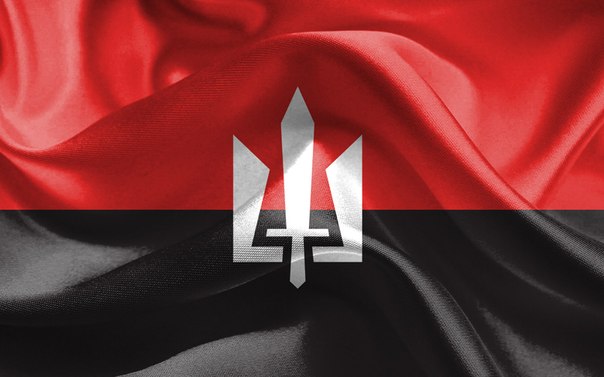 Правый избиратель объяснил, почему «зажмёт нос» и проголосует за Эйзенкота